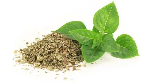 تصویر 5 از خرید و قیمت سبزی ریحان خشک سوپر صادراتی + فروش عمده